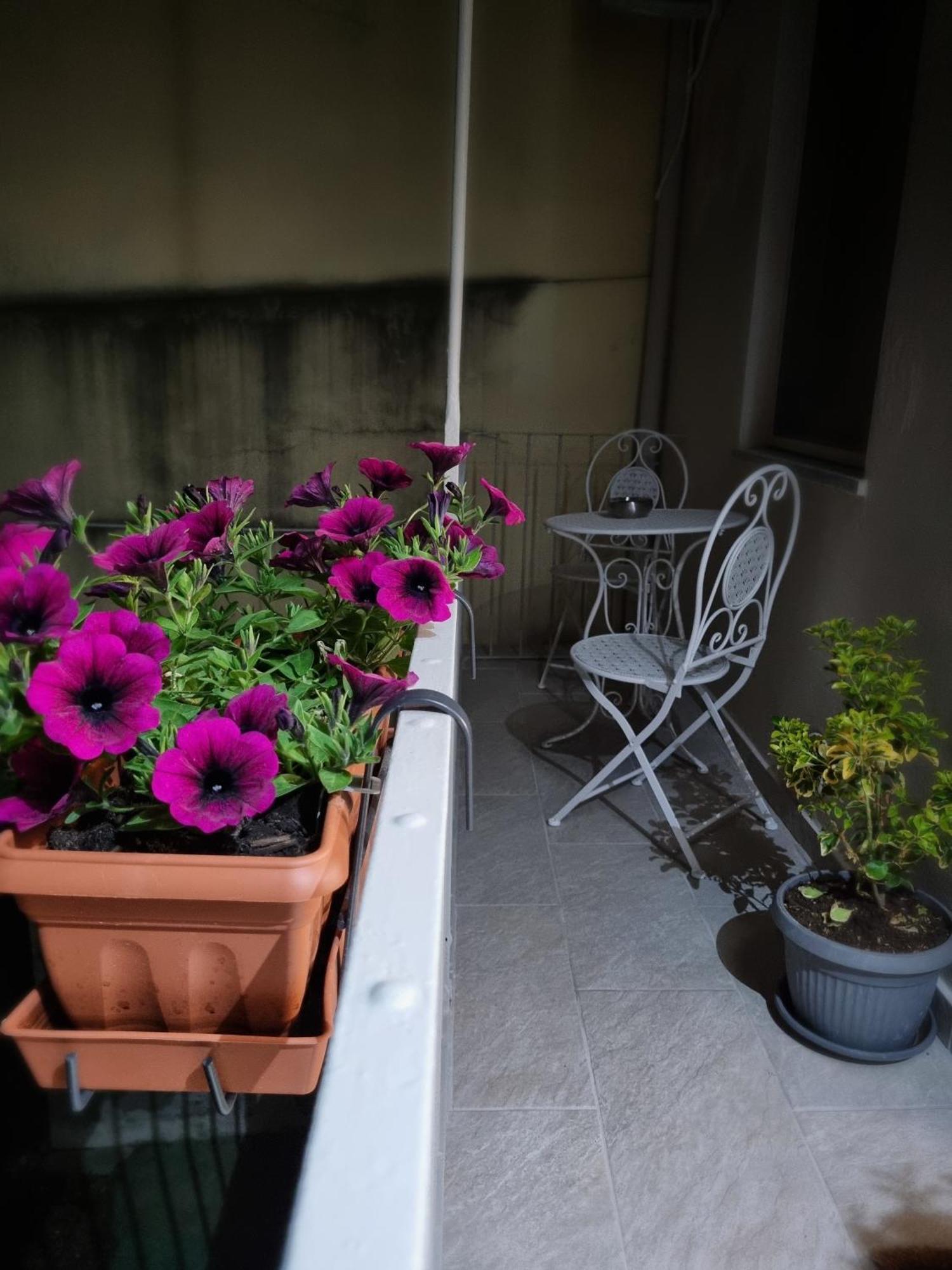 Ca Fiamma 2 Apartment Casale Monferrato Ngoại thất bức ảnh